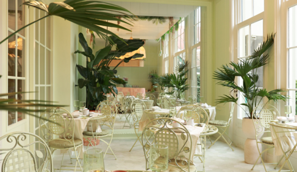 Lichte, elegante theesalon met pastelgroene muren, wit meubilair en tropische planten – een serene setting voor een high tea.