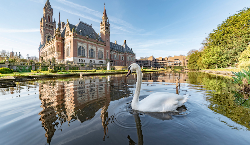 Het Vredespaleis in Den Haag met een witte zwaan in de vijver op de voorgrond Het Vredespaleis in Den Haag met een witte zwaan in de vijver op de voorgrond