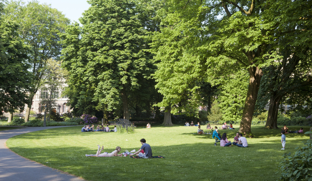 Mensen relaxen en picknicken op een zonnig grasveld in een park met grote bomen en schaduwrijke plekken Mensen relaxen en picknicken op een zonnig grasveld in een park met grote bomen en schaduwrijke plekken