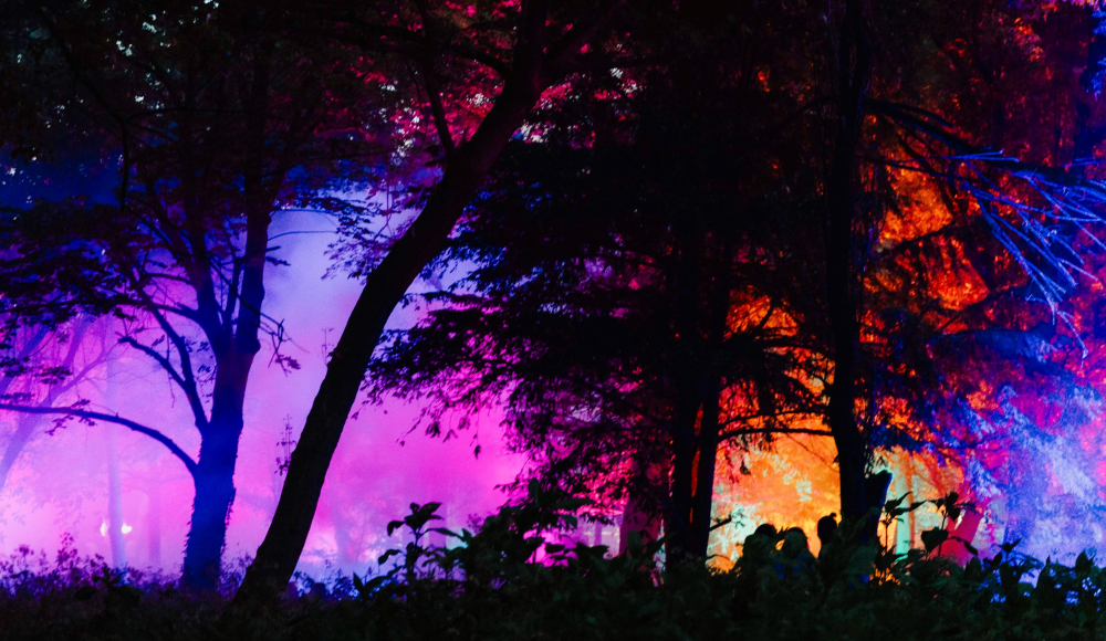 The Crave Festival met discolichten in avondlicht met bomen.