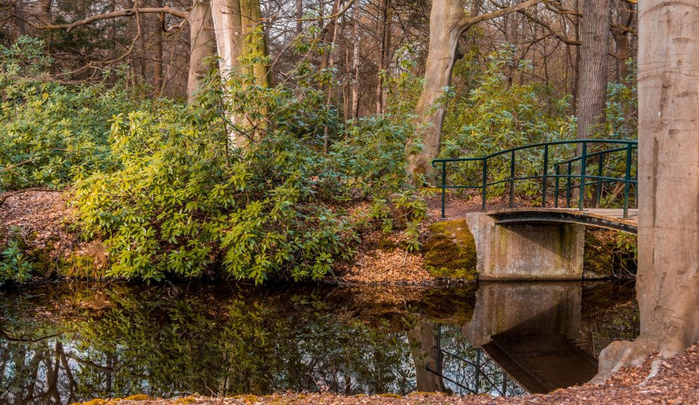 Park de Horsten, Wassenaar - foto Kati van Helden Park de Horsten, Wassenaar - foto Kati van Helden