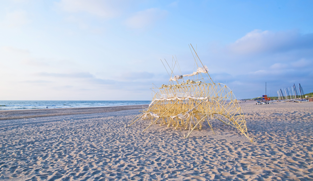 Zuiderstrand Zuiderstrand