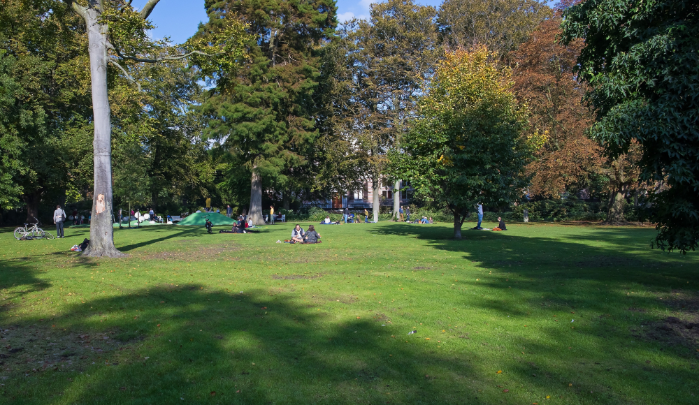 Paleistuin Paleistuin