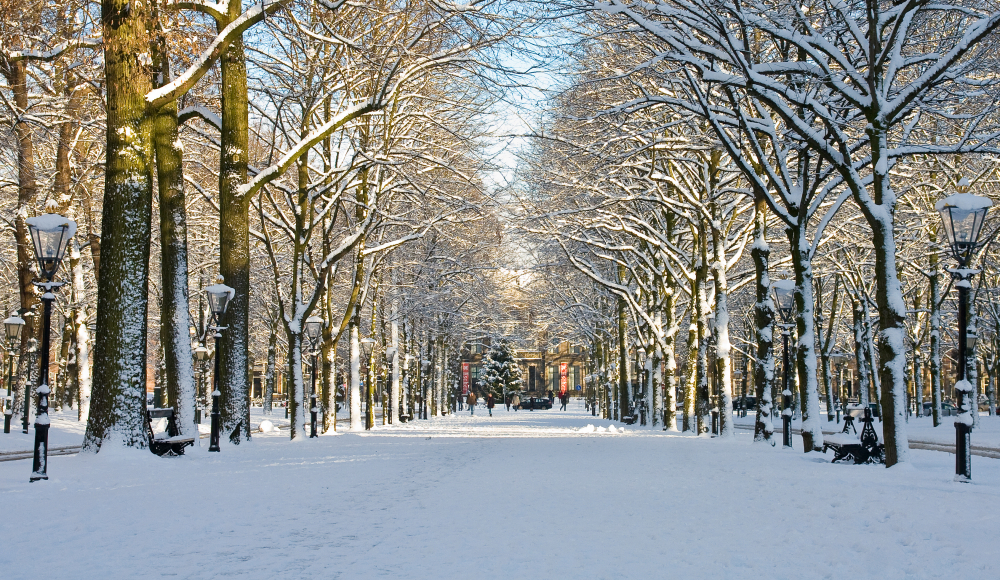 Lange Voorhout Lange Voorhout