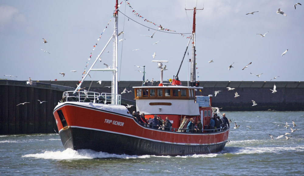 Vlaggetjesdag Scheveningen Vlaggetjesdag Scheveningen
