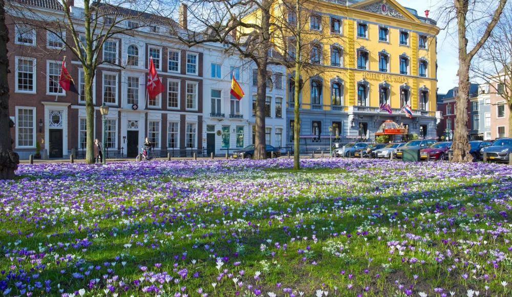 denhaag.com denhaag.com