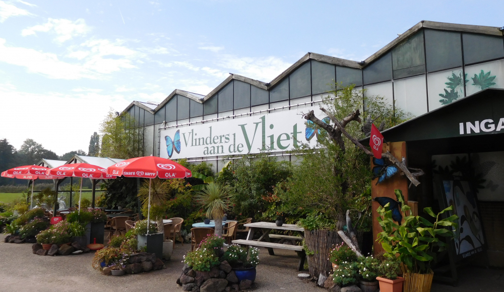 Vlinders aan de Vliet Vlinders aan de Vliet