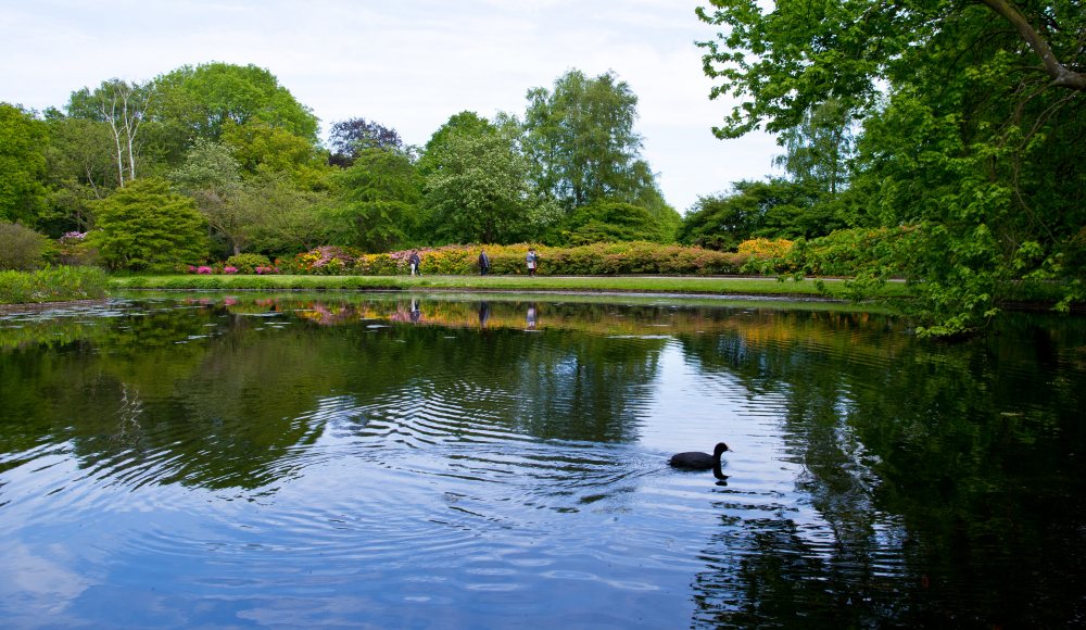 Park Clingendael Park Clingendael