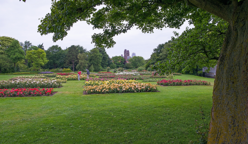 Rosarium Westbroekpark Rosarium Westbroekpark