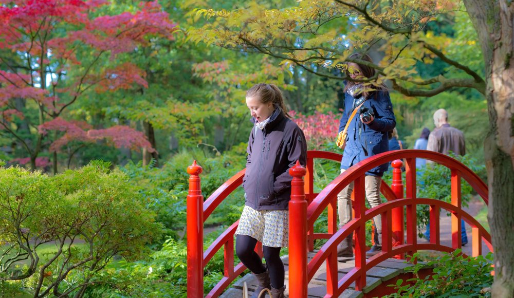 Japanse Tuin Japanse Tuin