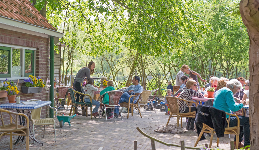 Stadsboerderij Pluk! Stadsboerderij Pluk!