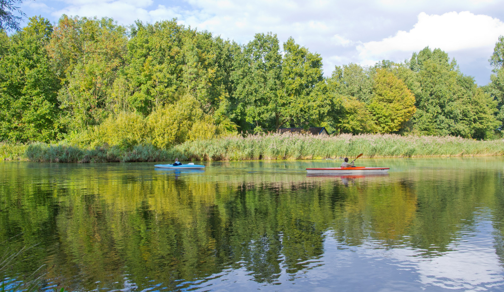 De knalgroene bomen in recreatiegebied Madestein weerspiegeld in het water