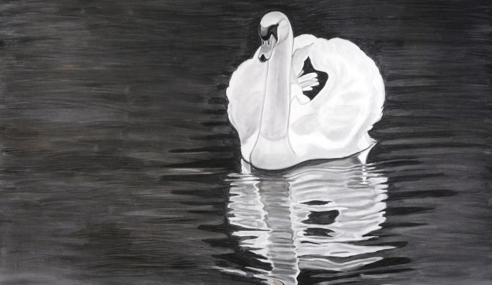 Witte zwaan drijft op het donkere water.