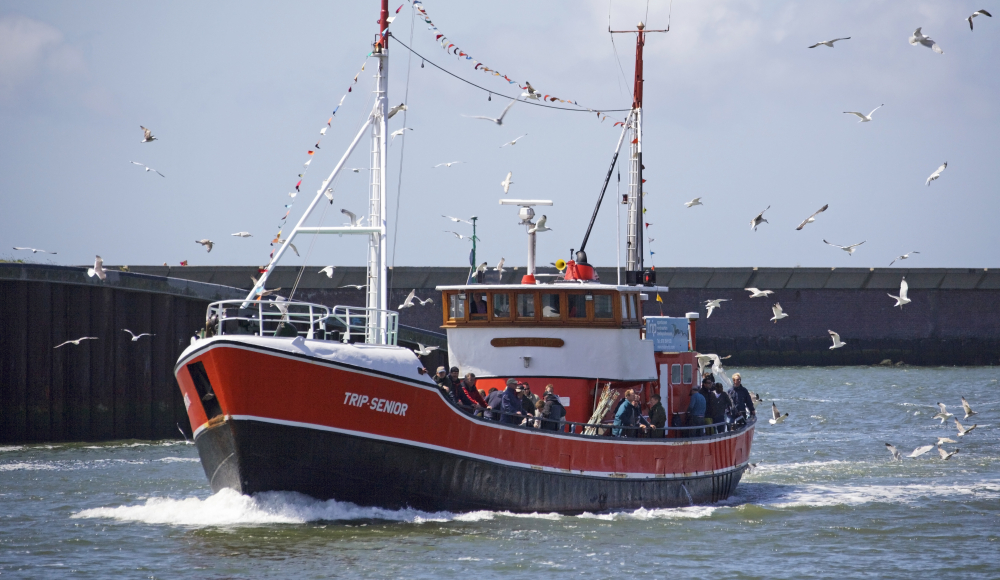 Een vissersboot vol haring en vlaggen vaart de haven binnen tijdens Vlaggetjesdag Scheveningen.
