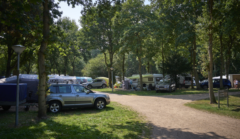 Ein Campingplatz mit Wohnwagen und Bäumen in der Umgebung.