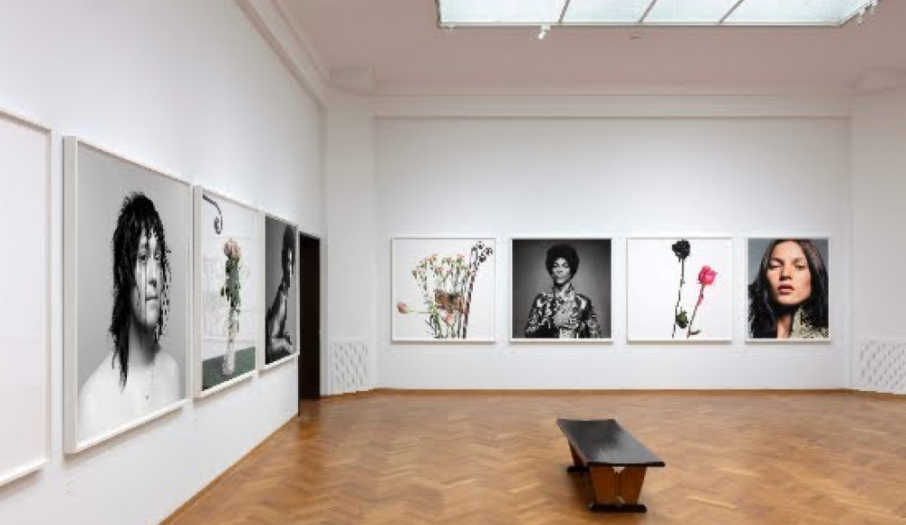 Moderne kunsttentoonstelling met portretten en bloemen.