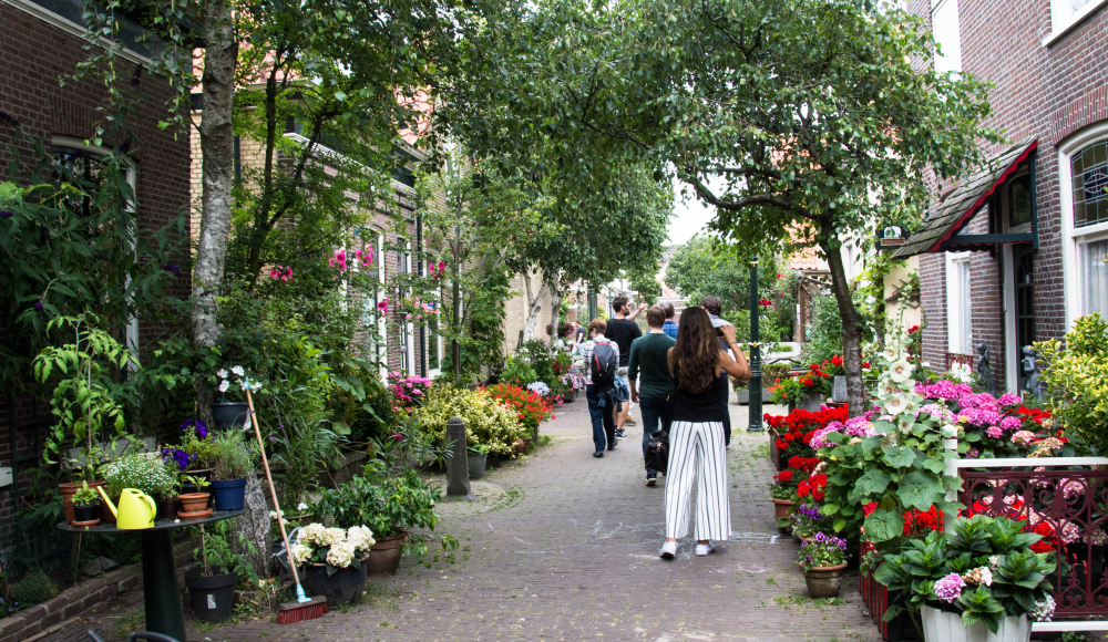 Groep mensen op excursie door een groen straatje vol bloemen in Den Haag. 