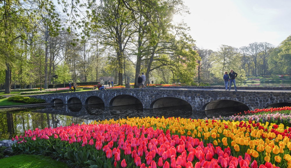 Keukenhof
