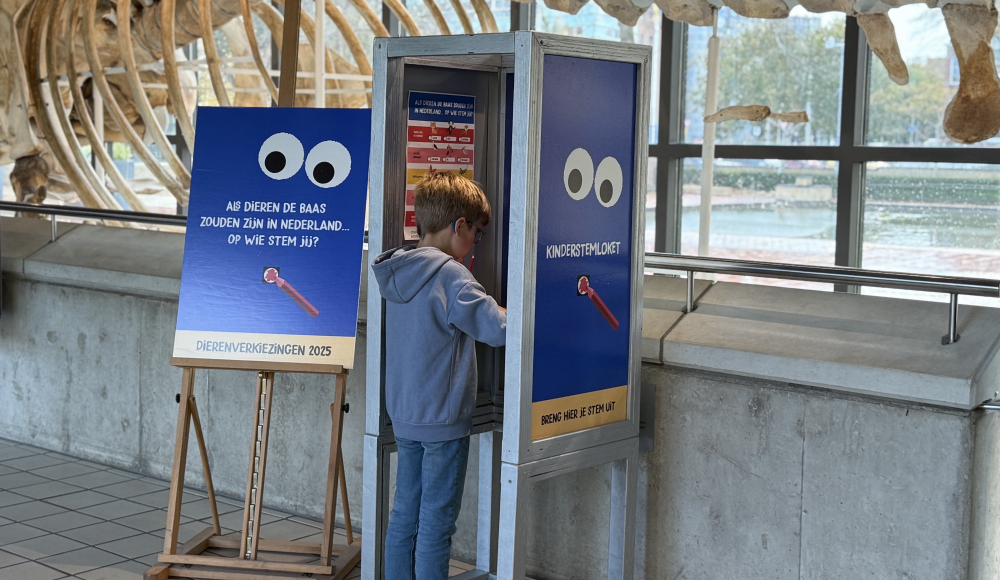 Een jongen stemt in een kinderstembureau met een poster ernaast. Een jongen stemt in een kinderstembureau met een poster ernaast.