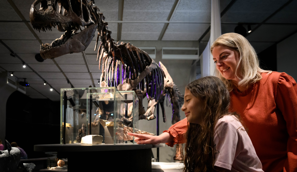 A woman and a girl are looking at a dinosaur skeleton.