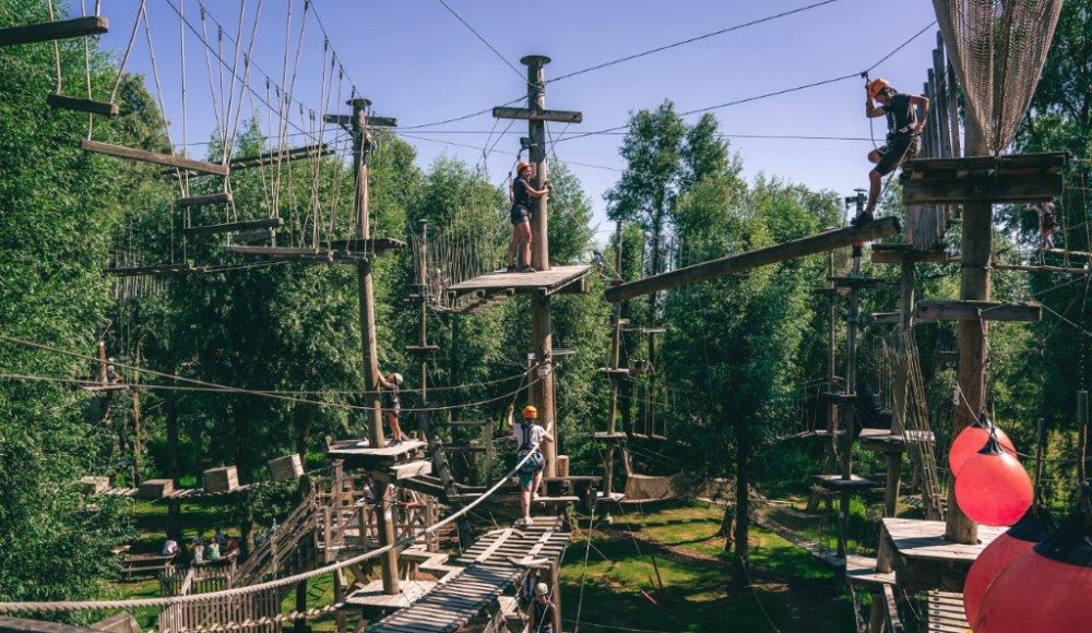 Mensen op een klimparcours tussen hoge bomen.