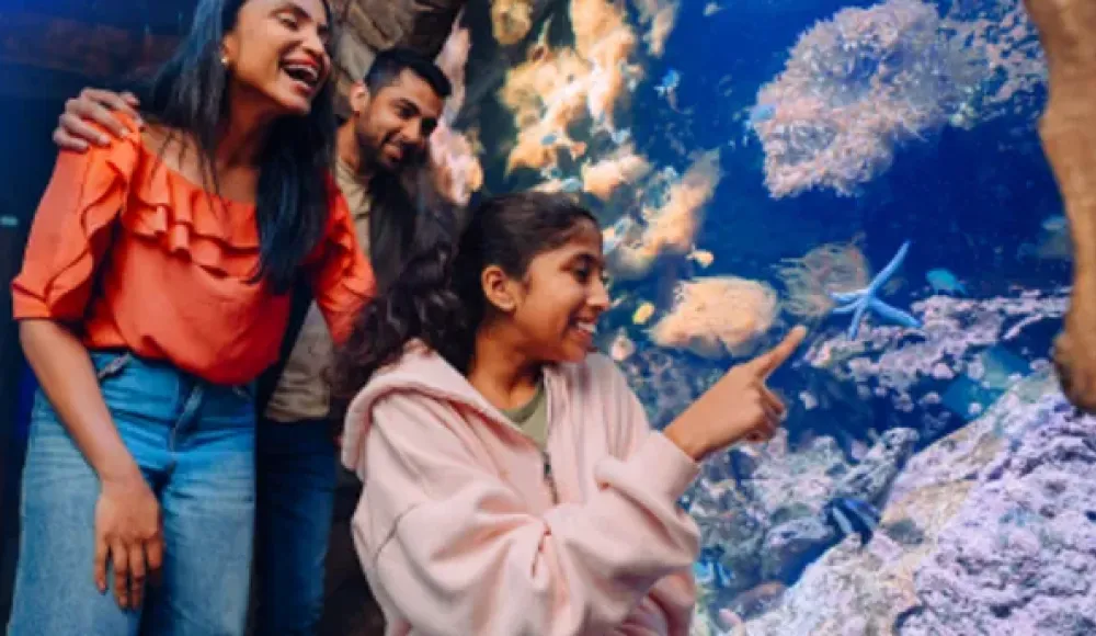 Vrienden kijken en wijzen naar vissen in een aquarium.