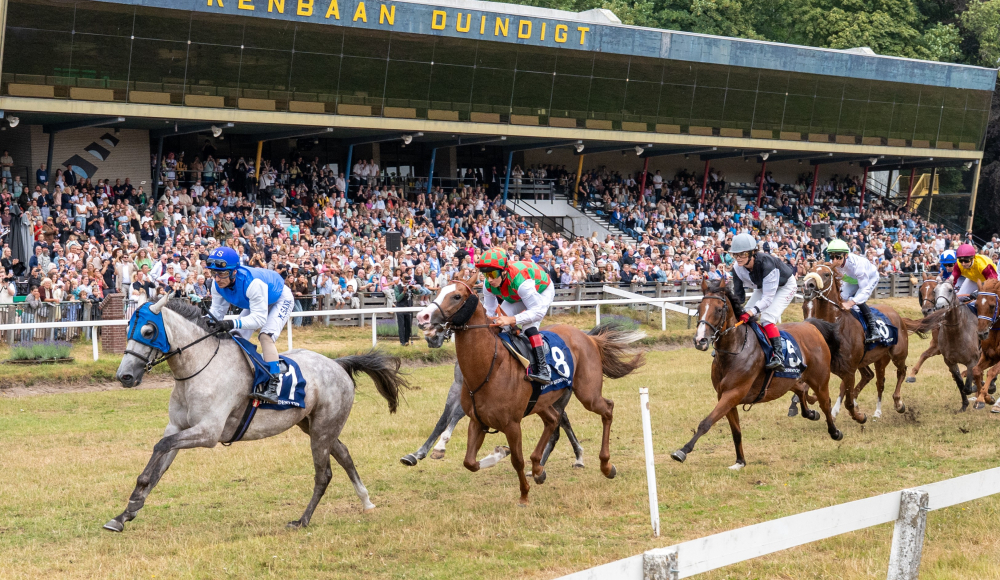 Paarden racen op de renbaan van Duindigt met een menigte op de achtergrond.