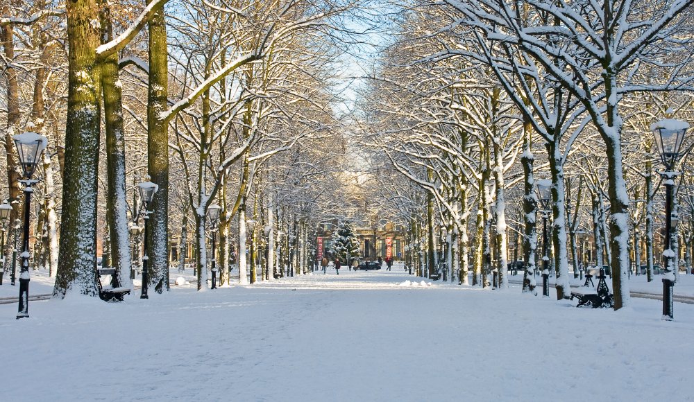 Sneeuw op het Lange Voorhout in Den Haag Sneeuw op het Lange Voorhout in Den Haag