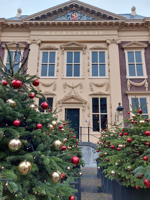 Mauritshuis kerstbomen buiten Mauritshuis kerstbomen buiten