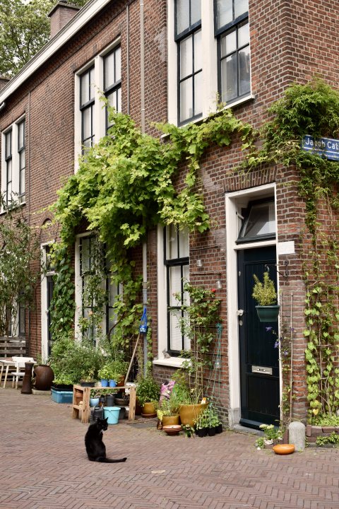 Schilderswijk Jacobs Catsstraat hofje