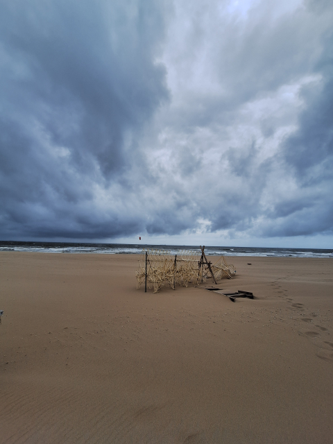 Een strand met een wolkenlucht en een Strandbeest op het zand