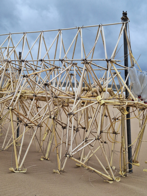 De ingezoomde constructie van de Strandbeesten in het zand.