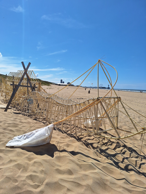 Een artistieke strandinstallatie van een Strandbeest met houten structuren.