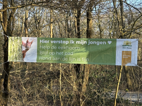 Banner met informatie over eekhoorns in het bos