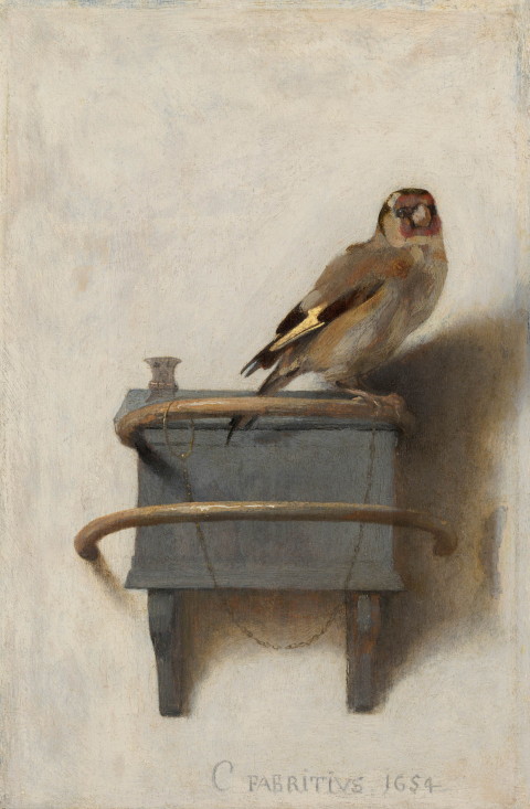 Carel Fabritius, Het puttertje, 1654, Mauritshuis, Den Haag. Un pinson est posé sur un perchoir en bois avec une chaîne.