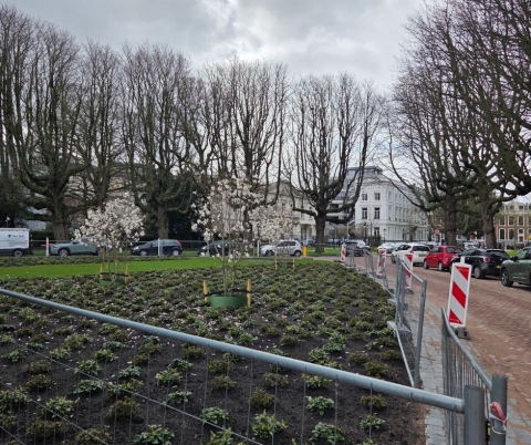 Plein 1813 met beplanting in klassieke setting.