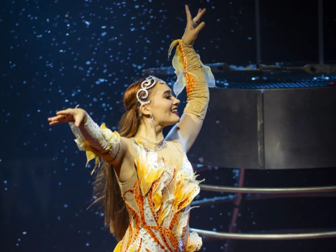 A dancer in a colorful costume with glitter.