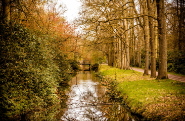 Park de Horsten, Wassenaar - foto Kati van Helden Park de Horsten, Wassenaar - foto Kati van Helden