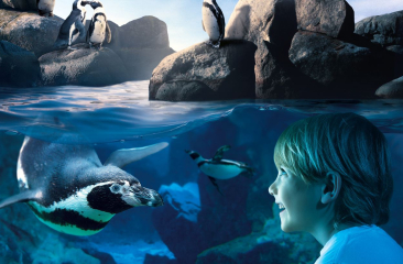 Sea Life Scheveningen