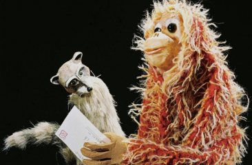 Aap- en wasbeerpop lezen samen een brief