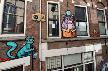 De katten op de gevel tonen typerend kattengedrag! Foto: Gordon Meuleman
