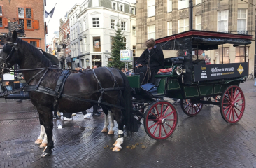 Koets Have a Royal Winter