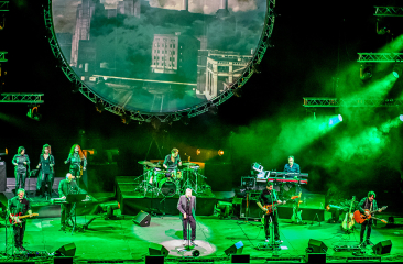 Pink Project The Band op een groen verlicht podium. 