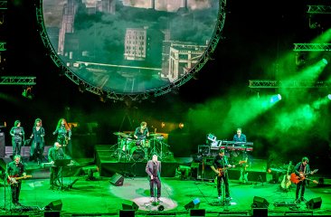 Zuiderpark Live Pink Project