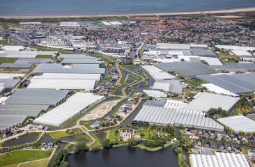 Luchtfoto gemeente Westland