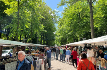 Mensen struinen over de markt tussen hoge, groene bomen in de zon