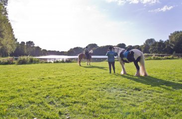 Recreatiegebied Madestein