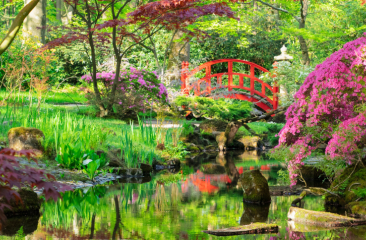Japanse Tuin in Den Haag 
