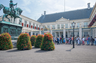Bezoekers staan in de rij voor Paleis Noordeinde in Den Haag