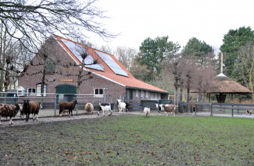 BuurtBoerderij Nijkamphoeve